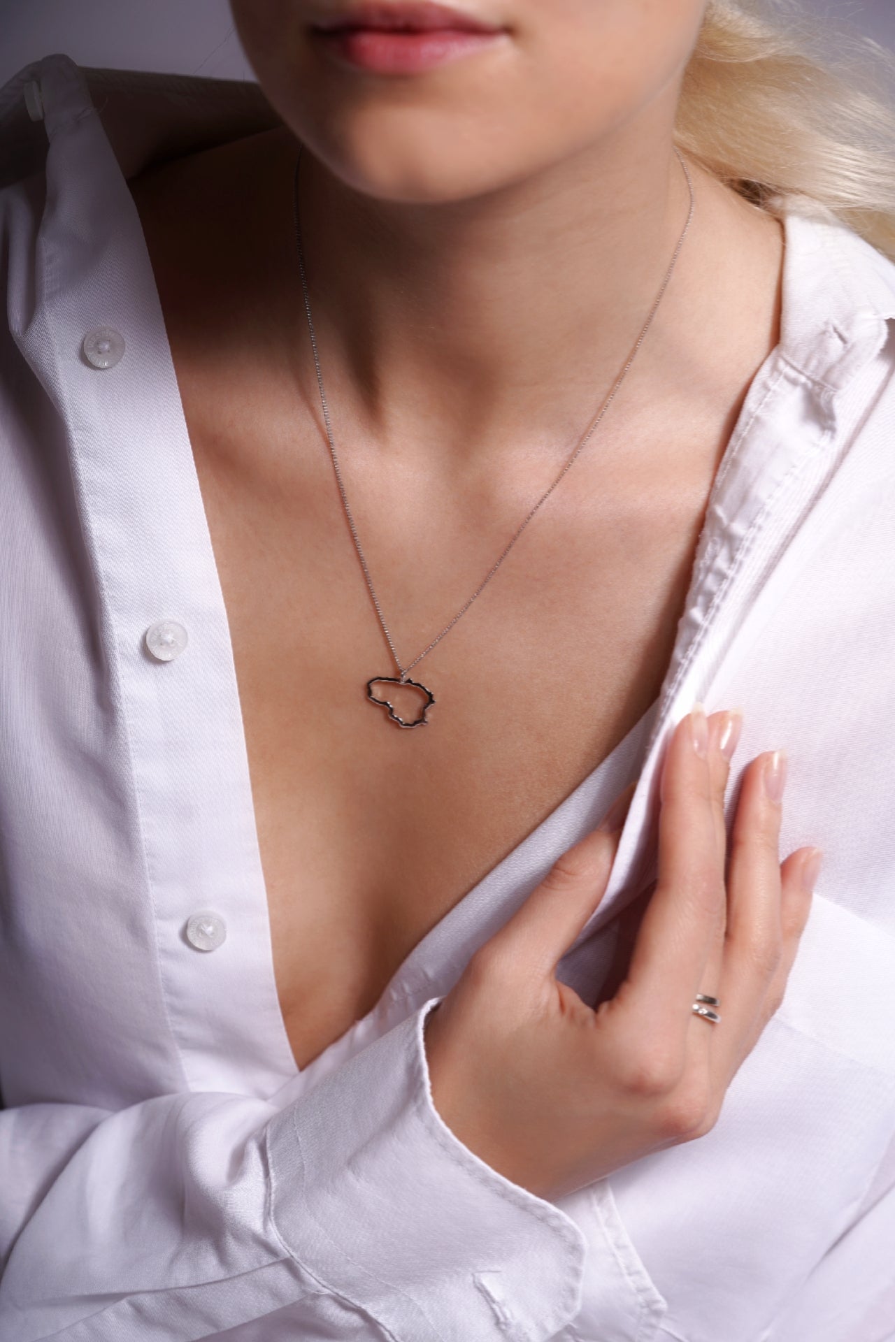 Sudraba kulons "Lietuva"