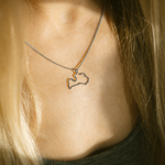 Sudraba kulons "Latvija"